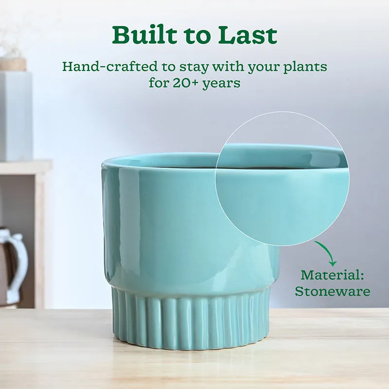 Ugaoo Sleepy Sprout Round Ceramic Planter - Blue media 3