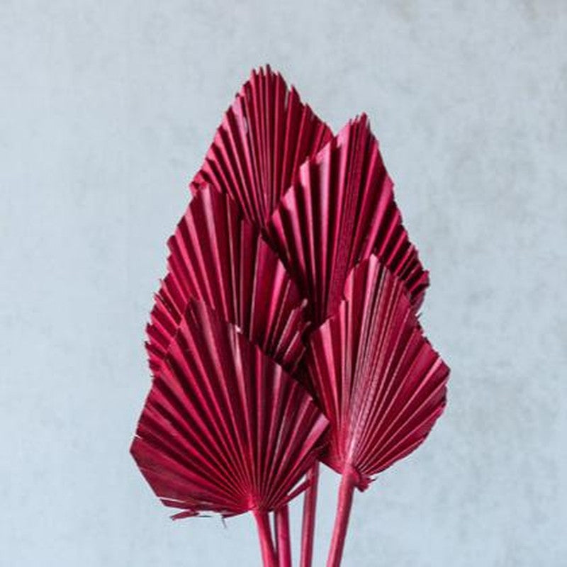 Trovio Naturally Dried Palm Leaf (Red) - Set Of Five media 5