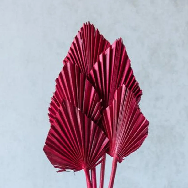 Trovio Naturally Dried Palm Leaf (Red) - Set Of Five media 5