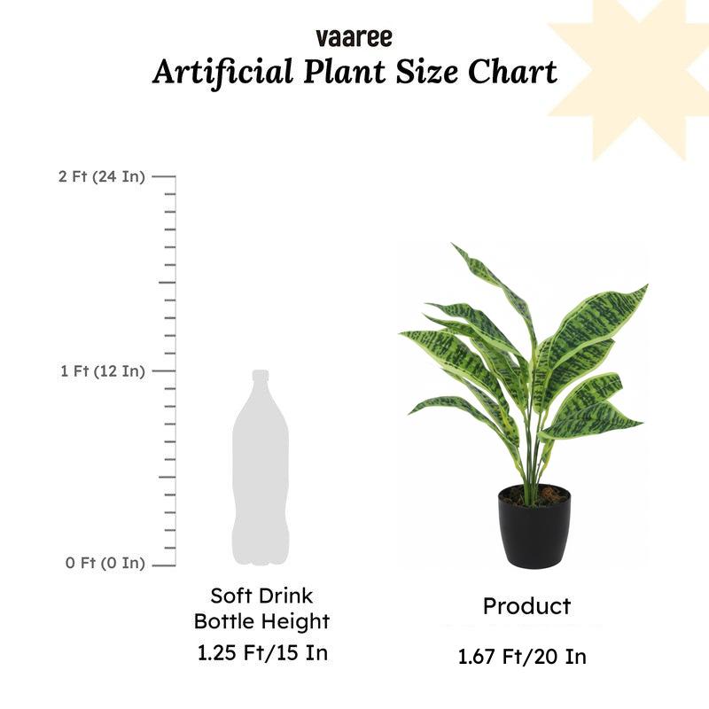 Faux Snake Plant With Black Plastic Pot (50 cms) - Set Of Two media 6