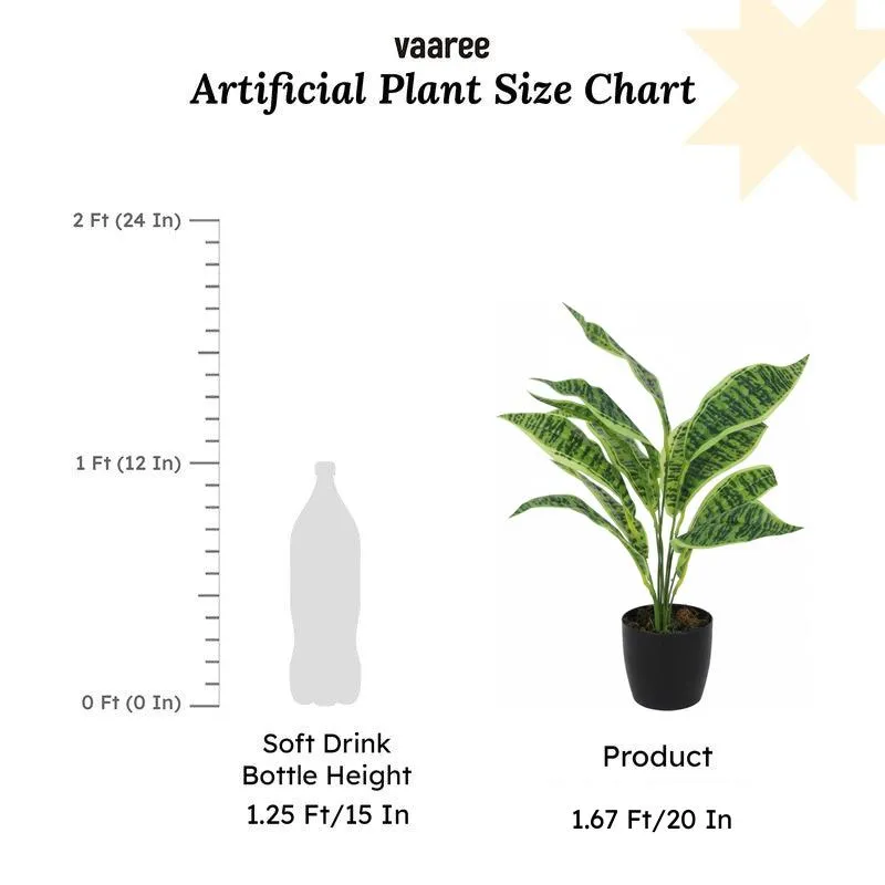 Faux Snake Plant With Black Plastic Pot (50 cms) - Set Of Two media 6