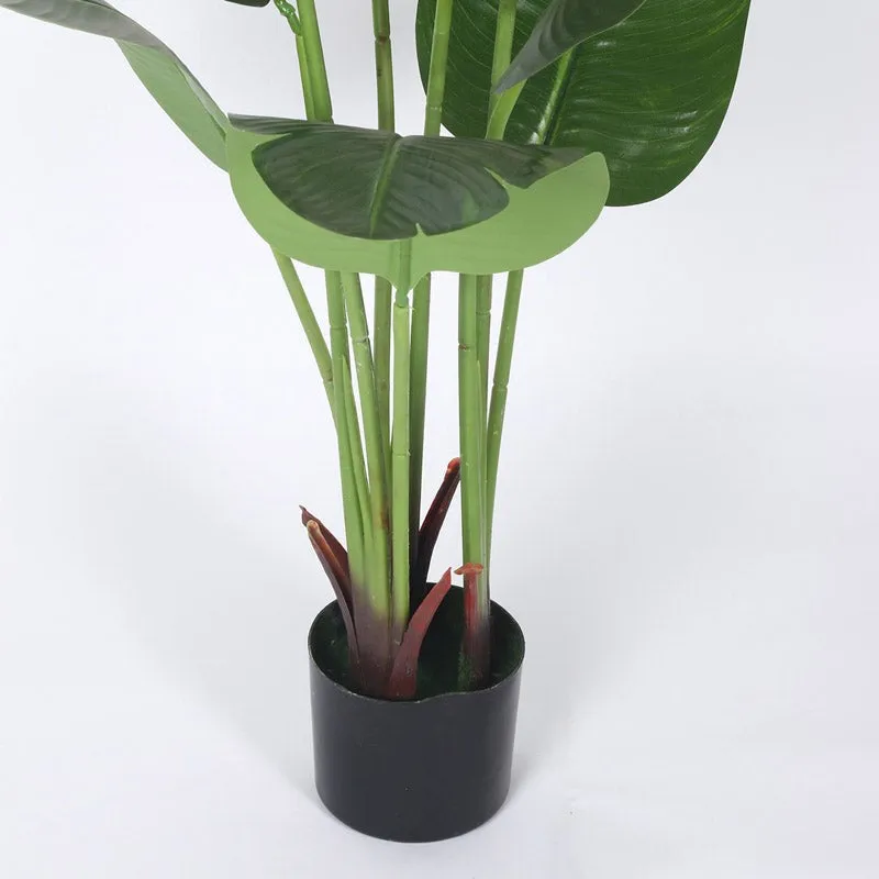 Faux Realtouch Bird of Paradise Plant With Black Plastic Pot - 3.9 Feet media 7