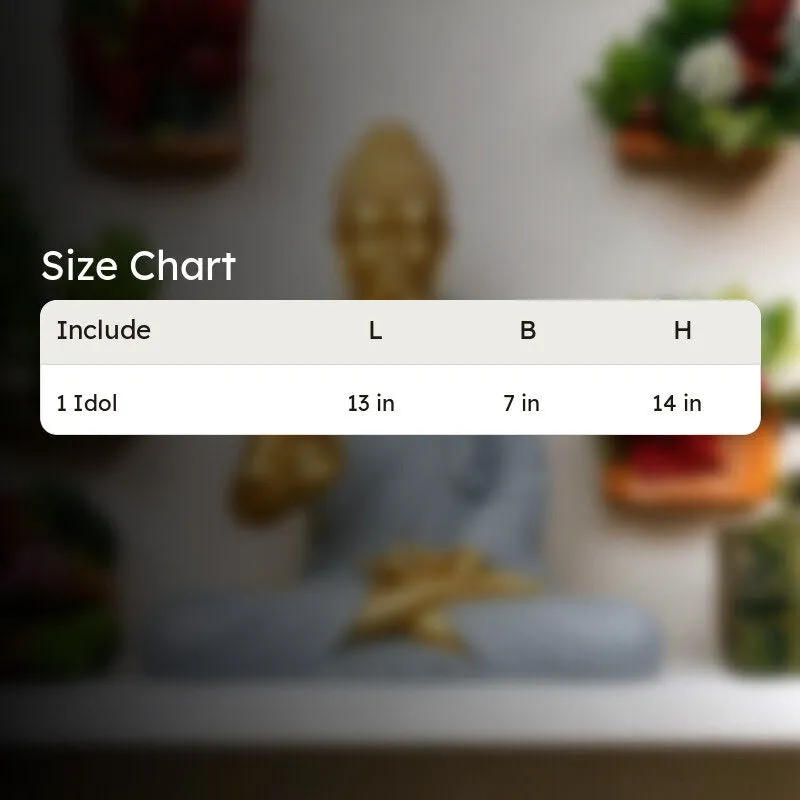 Size chart image for one idol