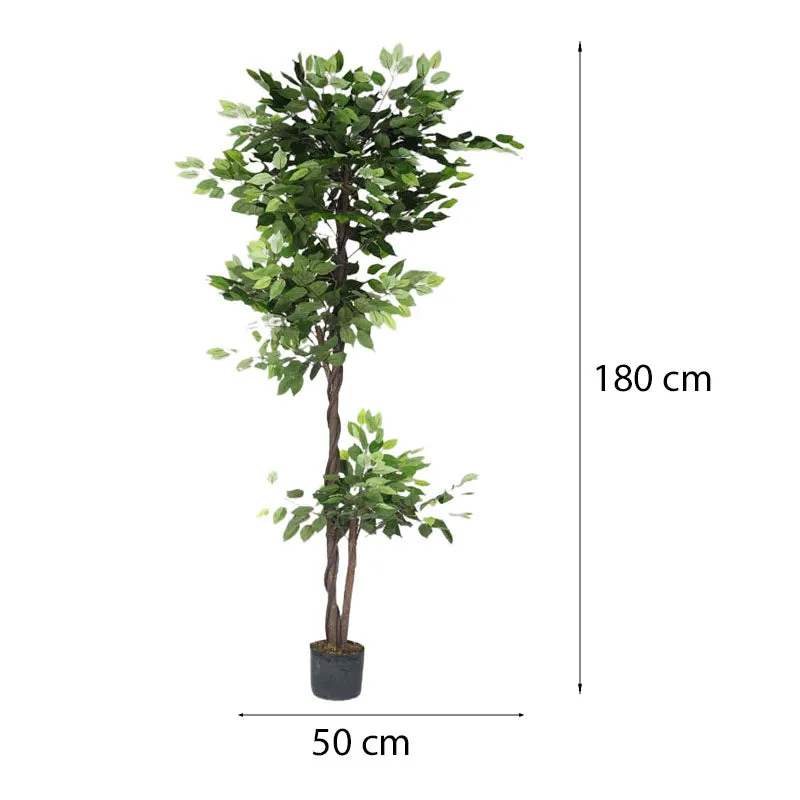 Faux Lush Topiary Ficus Plant With Black Plastic Pot - 6 Feet media 6