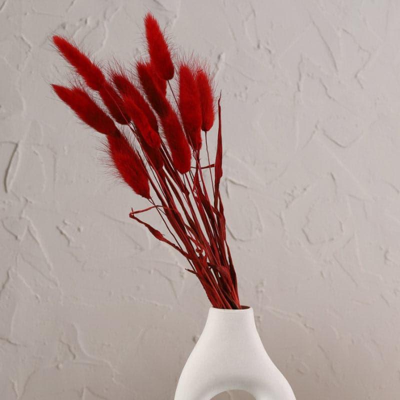 (Red) Bunny Tail Ornamental Grass (60 cms) - Set Of Fifteen media 3