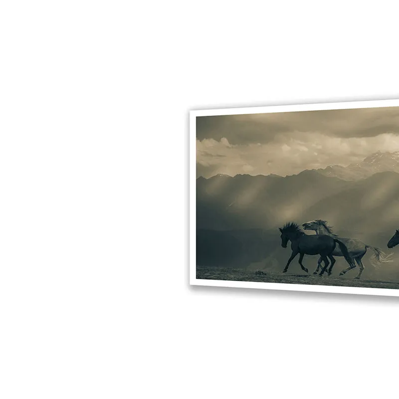 Equine Silhouette Wall Art with White Frame media 4