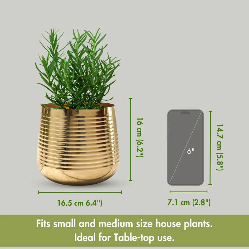 Auric Metal Gold Ribbed Planter - Gold media 5
