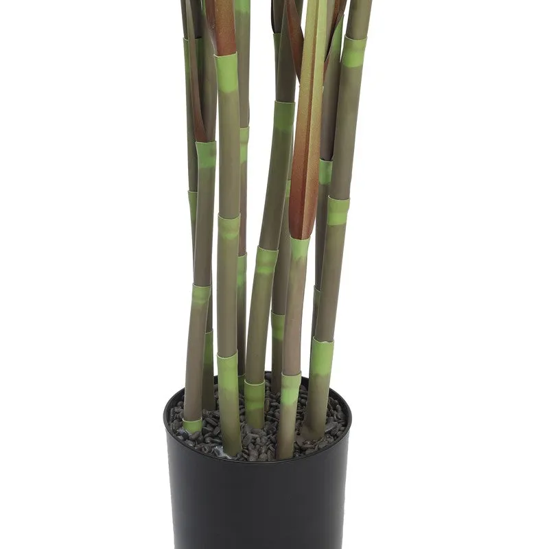 FreshNest Artificial Plant With Black Plastic Pot - 5.9 ft media 5