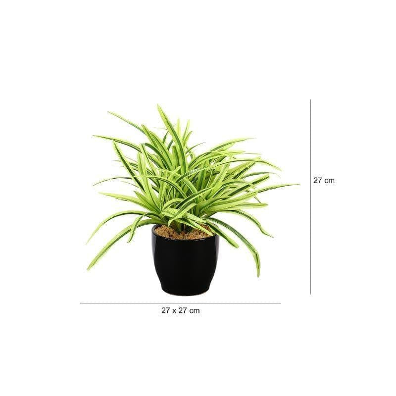 Faux Big Dracaena Bonsai (27 cms) - Yellow media 4