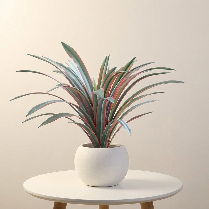 Serenity Leaf Artificial Plant With Black Plastic Pot - 1.3 ft