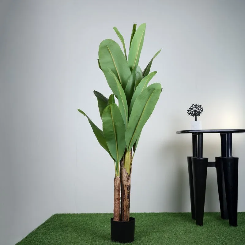 Artificial Banana Plant With Black Fiber Pot - 4.9 Feet media 4