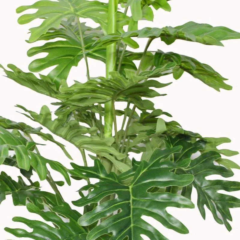 Faux Philodendron Bonsai In Black Plastic Pot - 45 cms media 4
