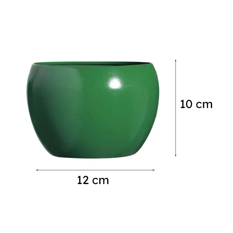 Green planter shown with dimensions of 12 cm wide and 10 cm high.