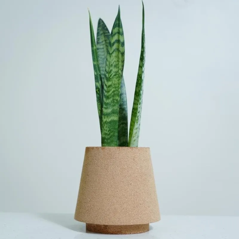 Timberland Paradise Planter media 4