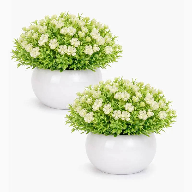 Velvique Artificial Rose Flower Plant With Pot (White,14CM) - Set Of Two media 3