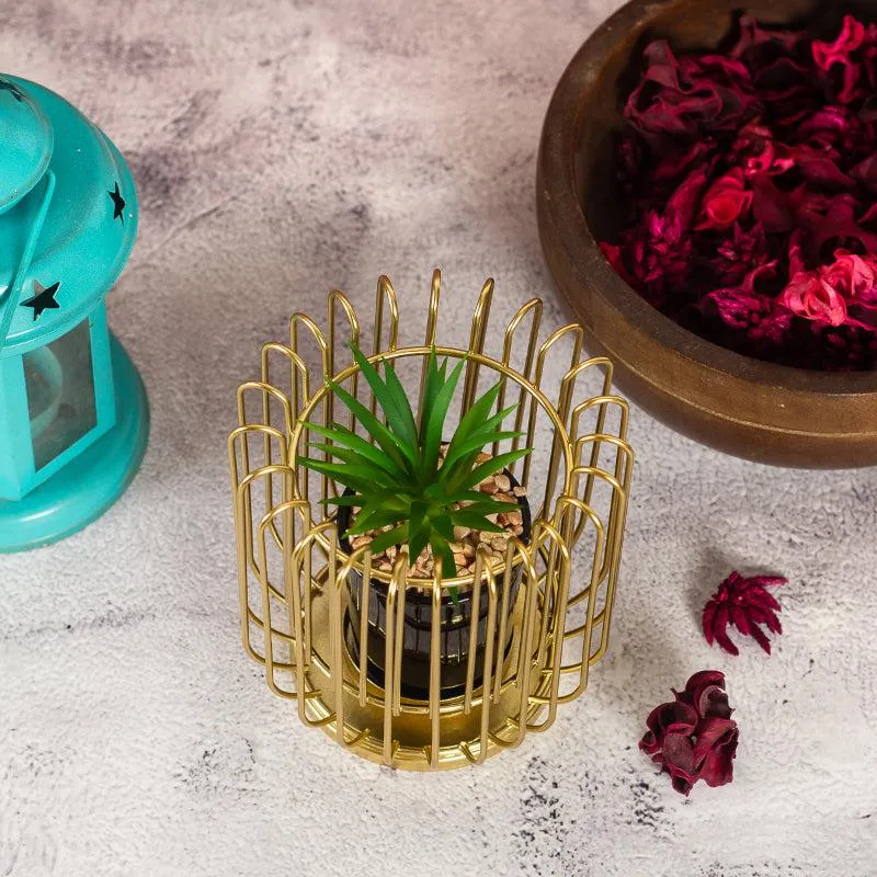 Freyana Metal Planter media 5