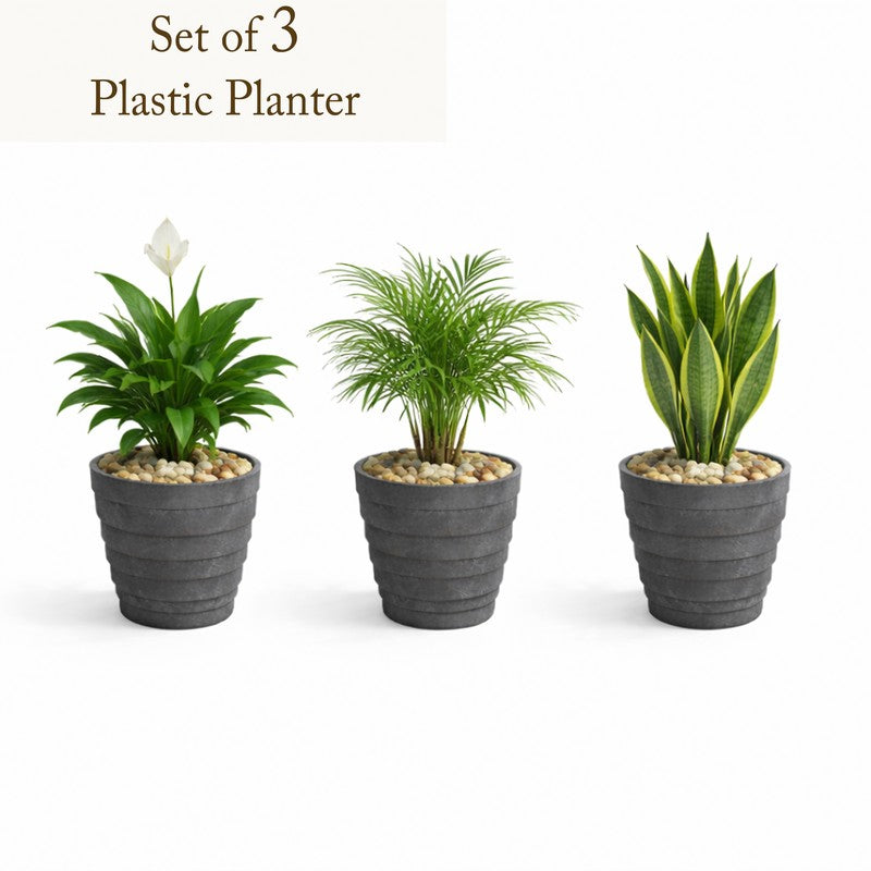 Juniper Planters (Grey) - Set Of Three media 3
