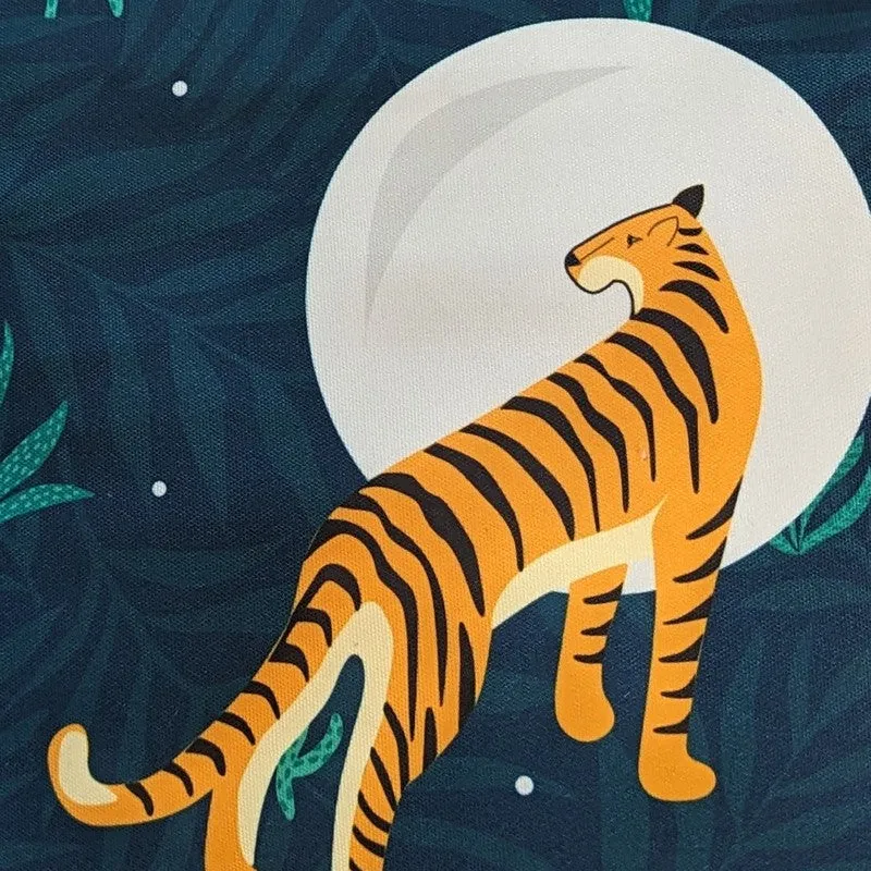 Striped Tiger & Starry Night Cushion Covers media 3