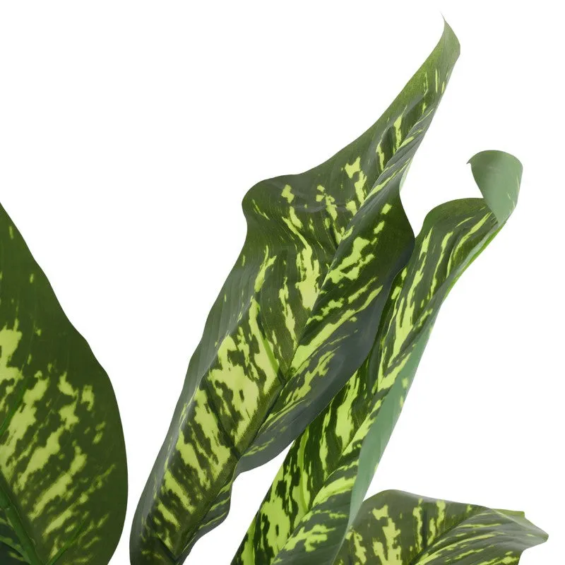 Artificial Dieffenbachia Plant With Black Plastic Pot 5.5 ft media 6