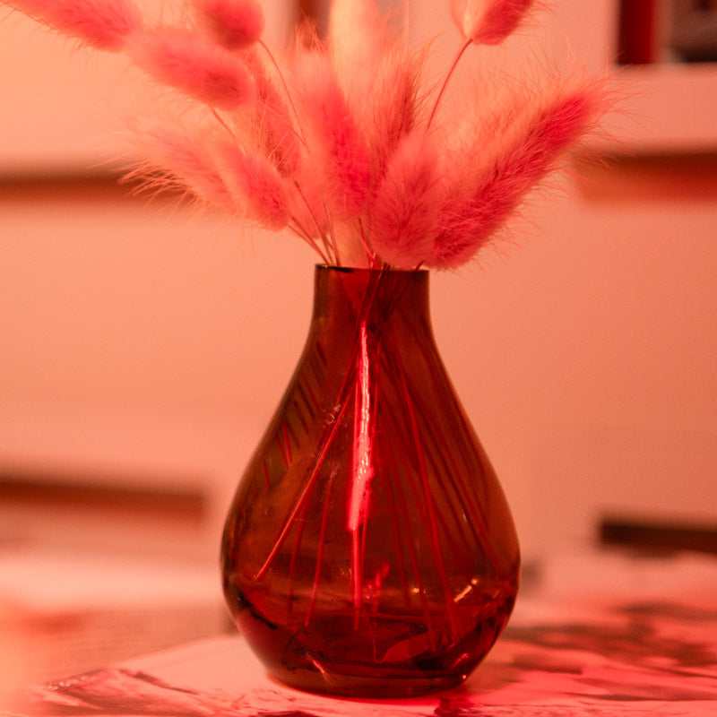 Elegant Glass Vase with Dried Flowers Bunch media 4