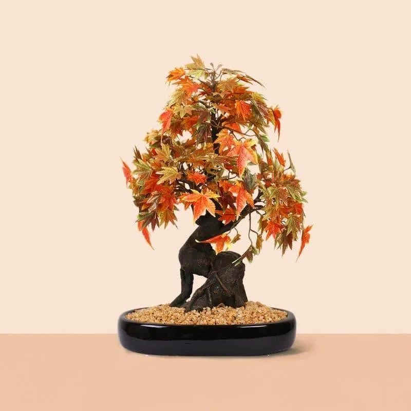 Faux Maple Bonsai In Tray Pot (41 cms) - Orange & Black media 1