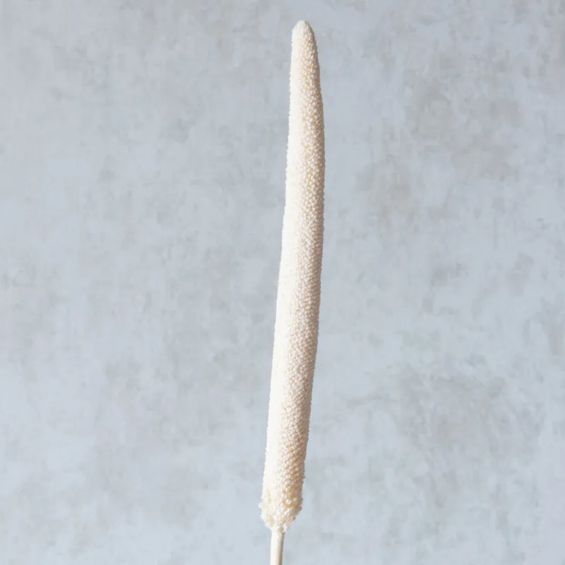 Siva Dried Millet Stick (White) - Set Of Ten media 3