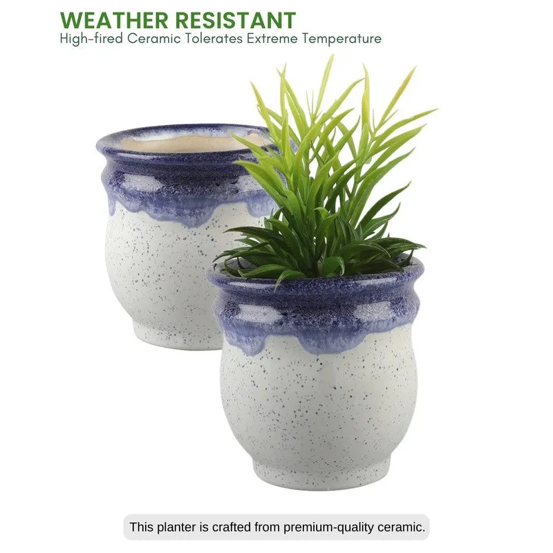 VelourVista Pots Blue,White - Set Of Two media 5