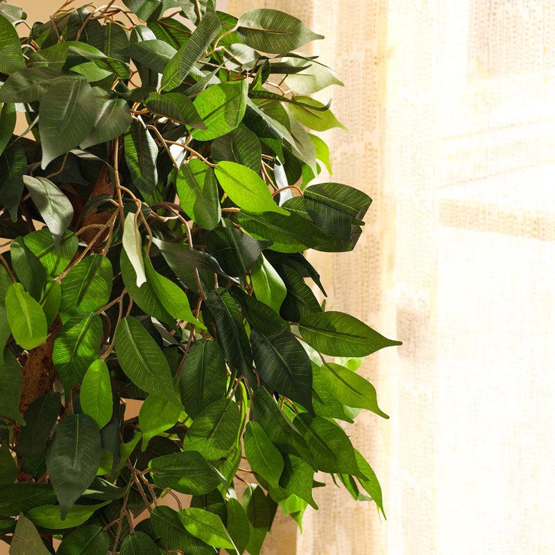 Artificial Realistic Ficus Plant With Black Plastic Pot - 3.9 Feet image 7