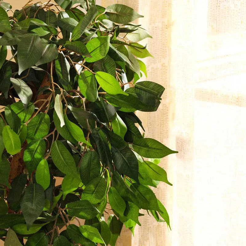 Artificial Realistic Ficus Plant With Black Plastic Pot - 3.9 Feet media 7