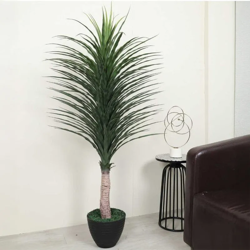 Artificial Real Touch Yucca Plant Without Pot - 5 Feet media 2