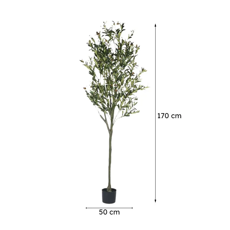 Faux Lush Olive Artificial Plant With Black Plastic Pot - 5.6 Feet media 6