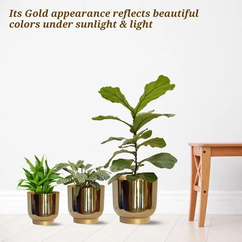 Nishma Golden Planter - Set Of Three media 4