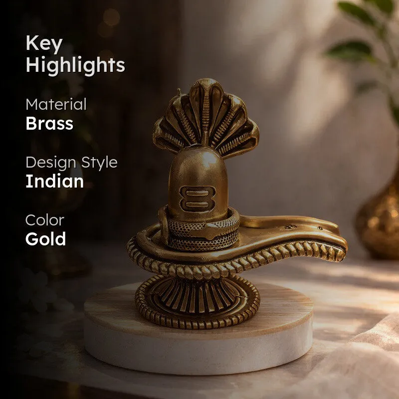 Shambho Brass Idol media 2
