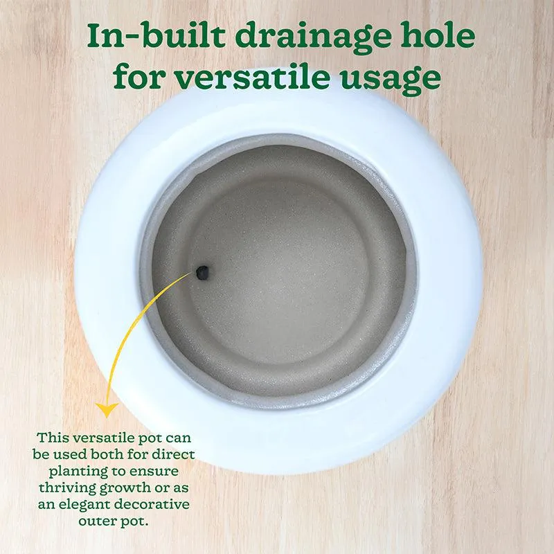 Ugaoo Ceramicurve Four Layer Ceramic Planter - White media 7