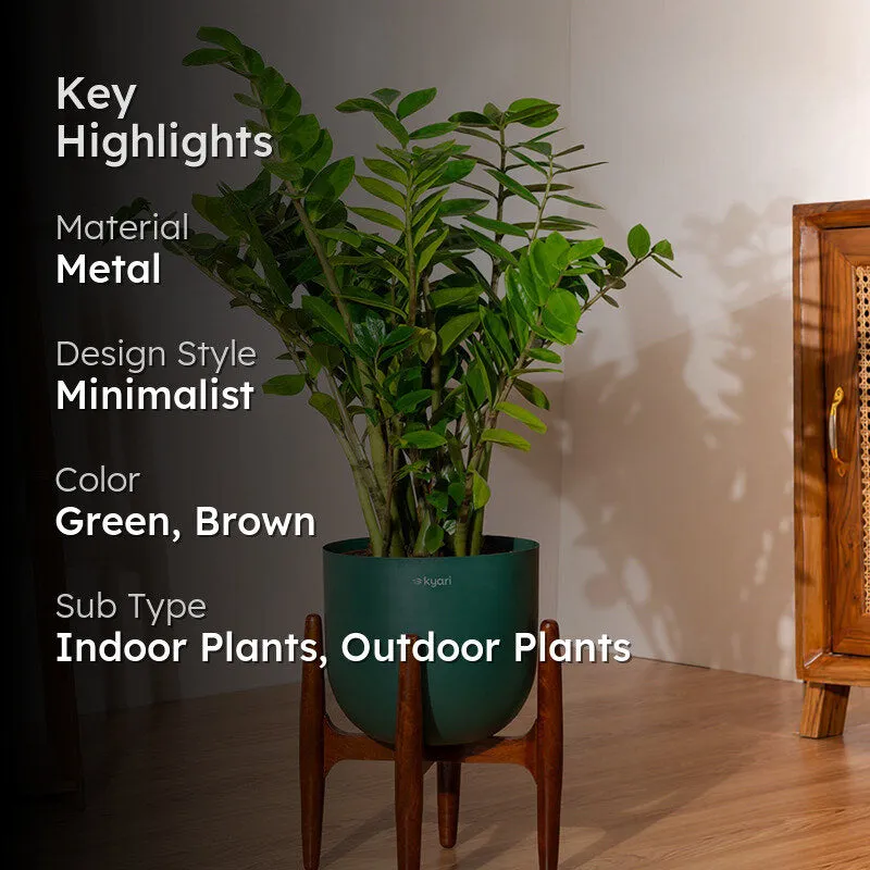 Kyari Green ZZ Plant With Metal Self Watering Pot (Green) - 2
