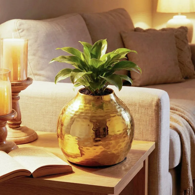 Sculptural Metal Vase -Gold media 5