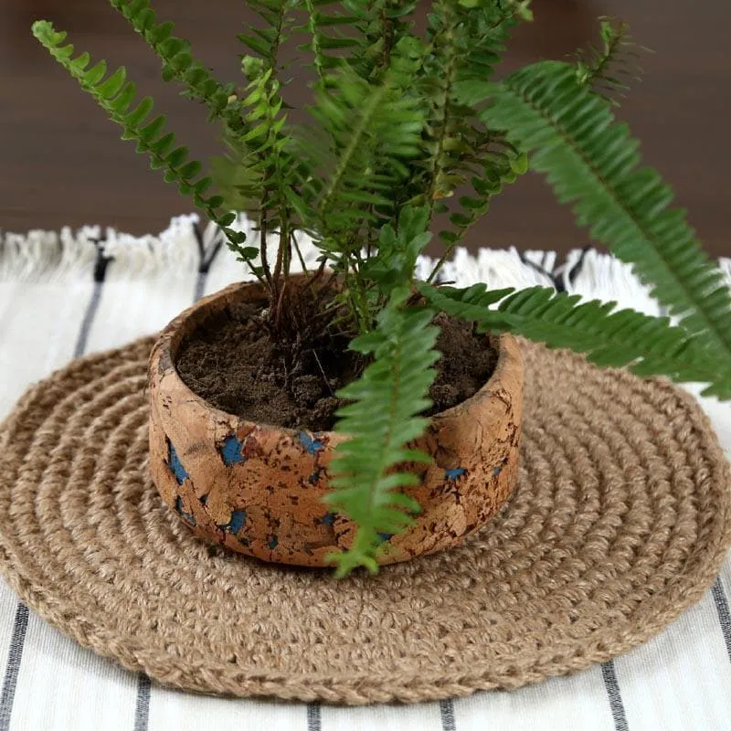 Coastal Cork Planter media 6