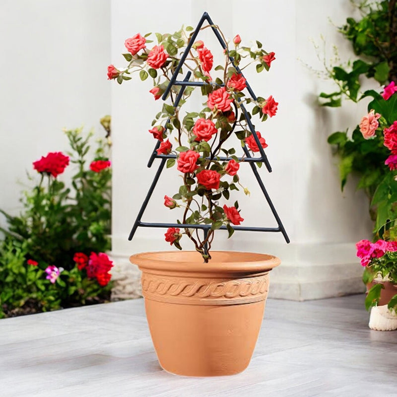 Sleek Pine Trellis - Black media 6