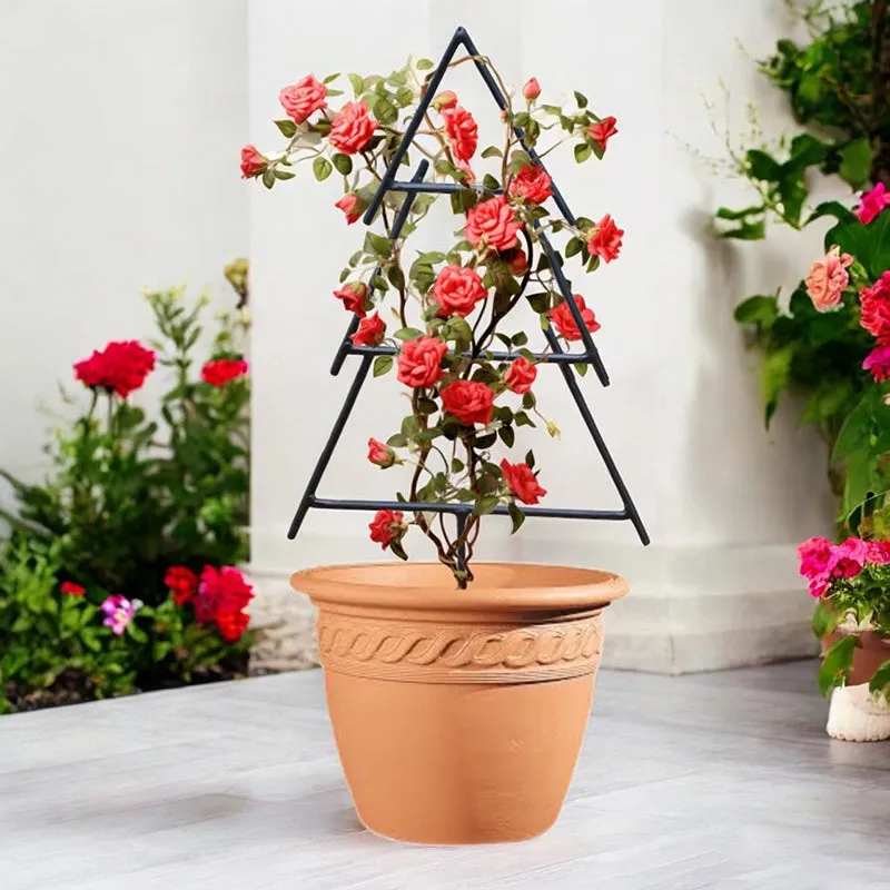 Sleek Pine Trellis - Black media 6