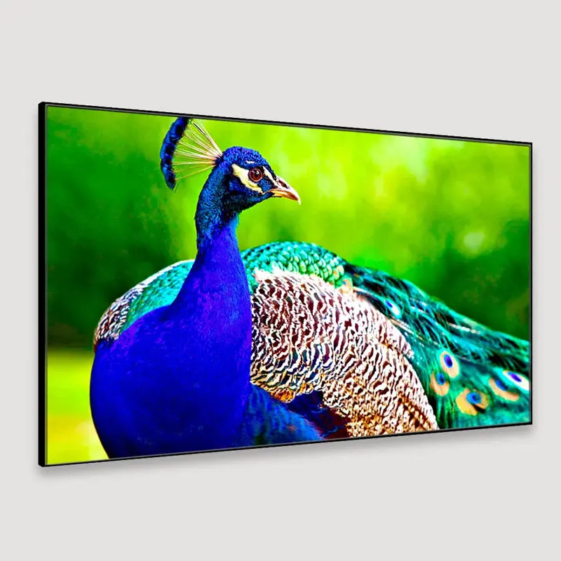 Beautiful Peacock Canvas Wall Painting media 5