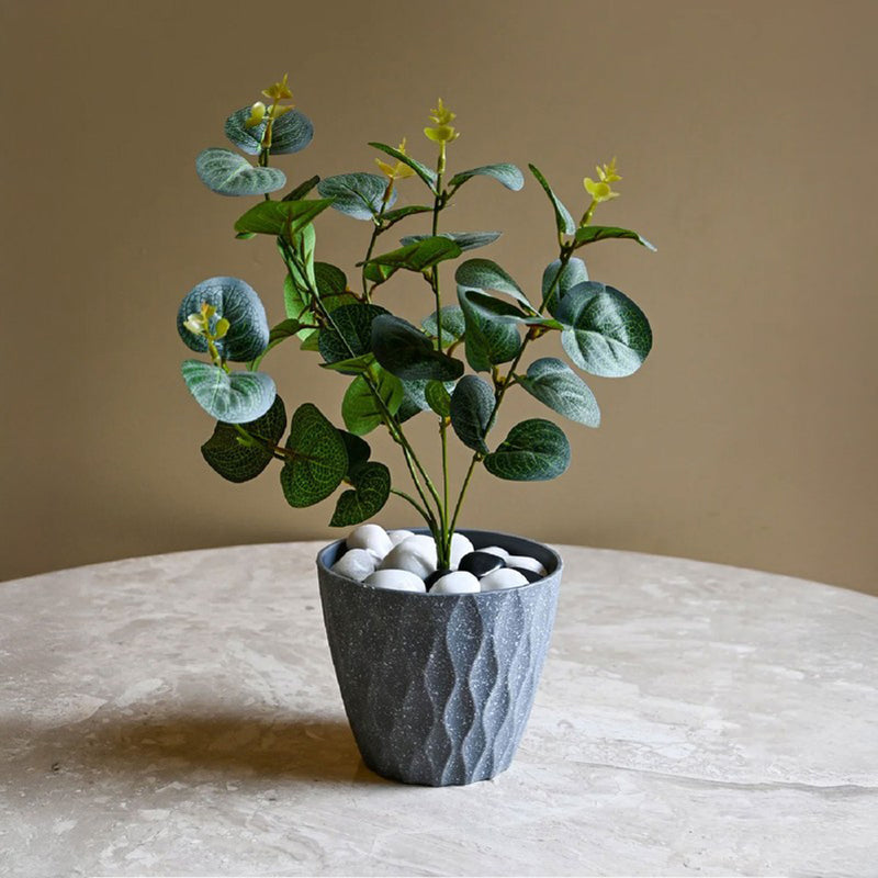Zenvia Textured Plastic Planter - Grey media 3