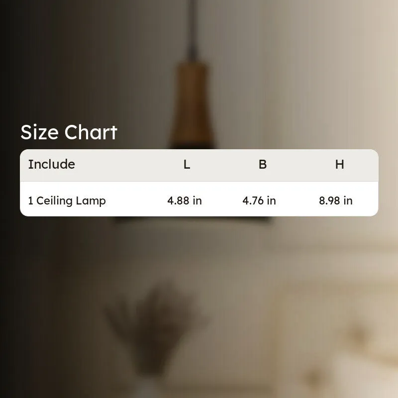 Solvra Nova Ceiling Lamp media 6