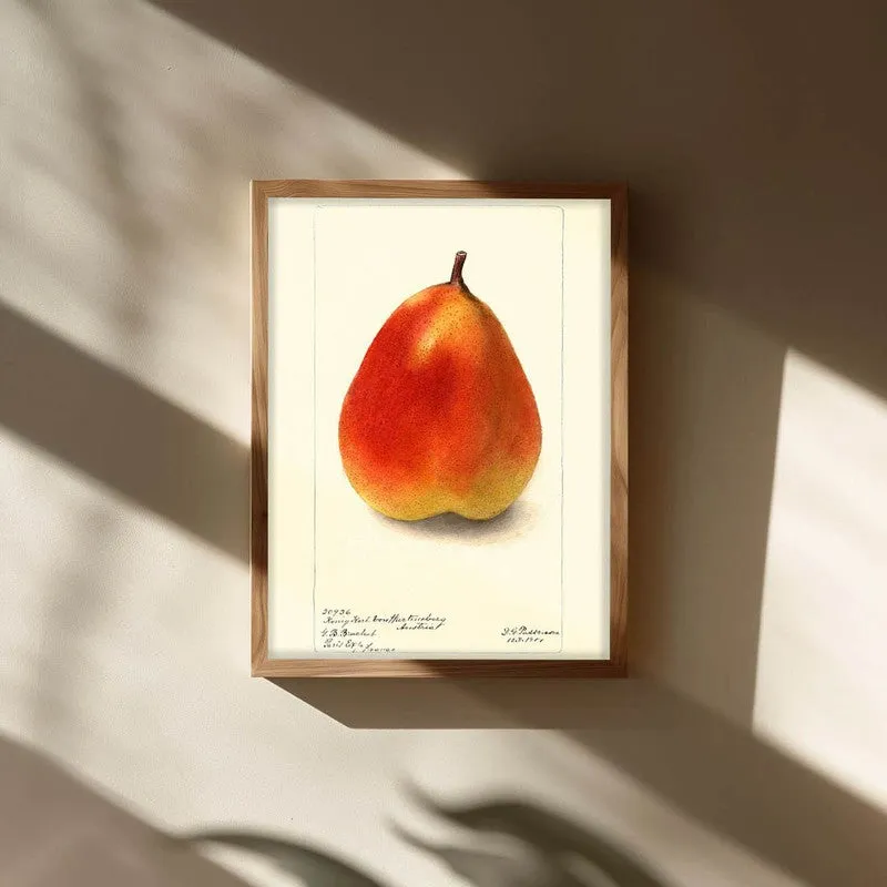 FruitPunch Archival Canvas Wall Art - Brown media 3