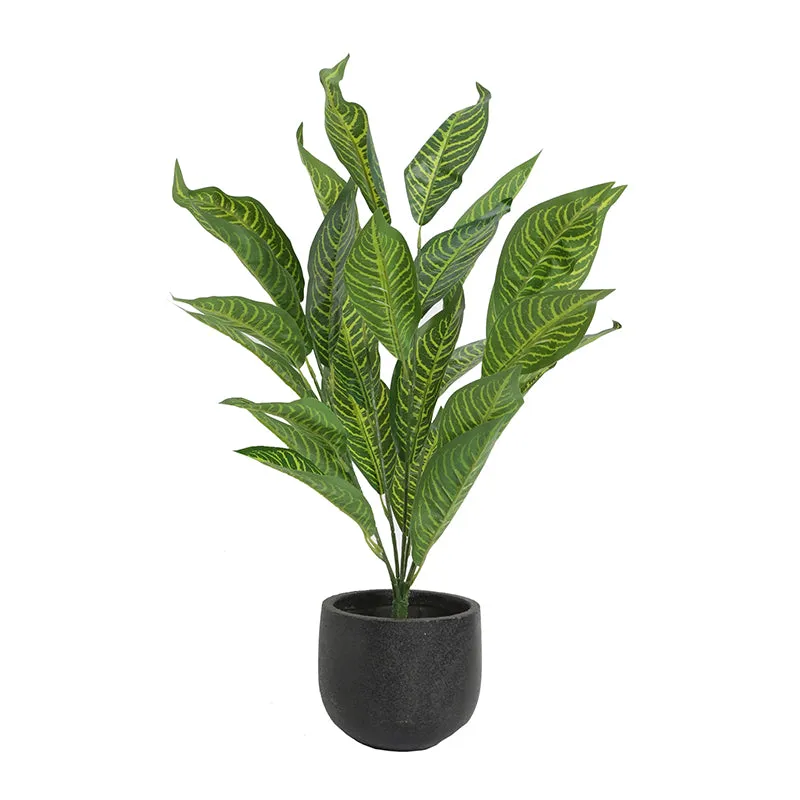 Faux Dark Green Icetone Croton Plant - 2.2 Feet media 3