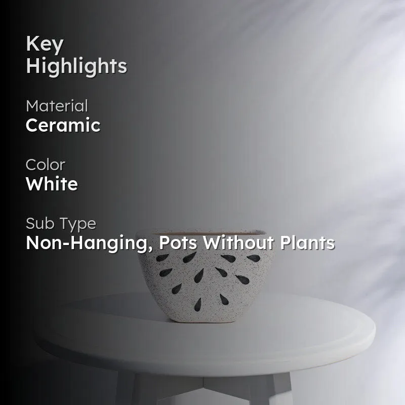 Ugaoo Watermelon Matte Finish White Ceramic Planter media 2
