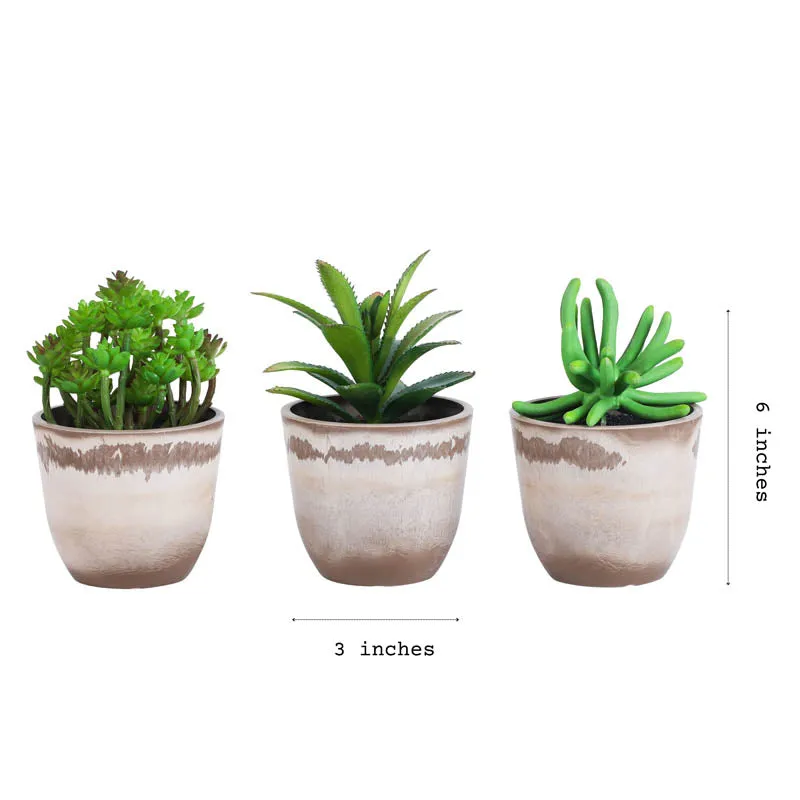 Artificial Mini Succulent With Pot - Set Of Three media 6