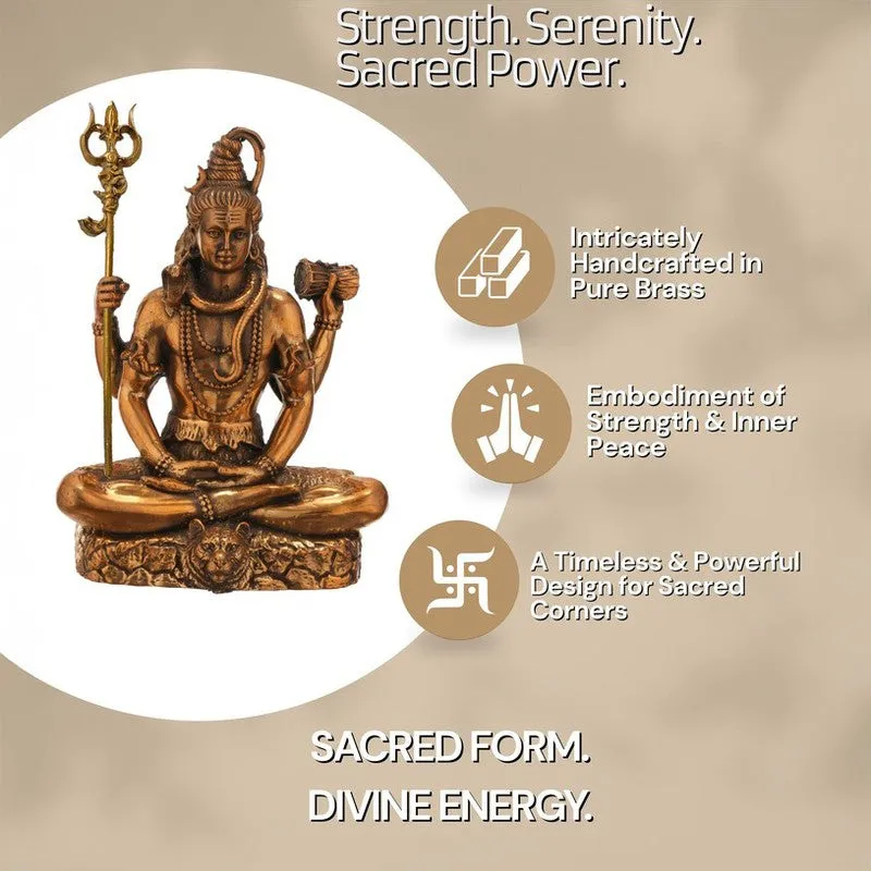Mahadev Meditation Idol media 9