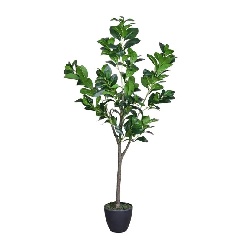 Artificial Peperomia Plant Without Pot - 3.9 Feet media 6