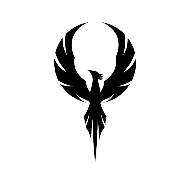 Pheonix Black Iron Wall Accent media 3
