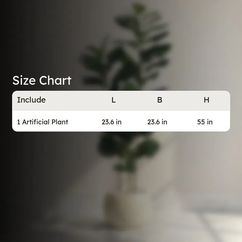 Modern Lush Fiddle Leaf Fig Plant With Black Fiber Pot - 4.6 Feet media 8